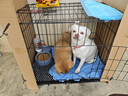 宠乐乖（CHONGLEGUAI）狗笼猫笼狗笼子中小型犬带厕所幼犬折叠便携猫笼子猫咪兔笼700ZG 实拍图