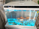 森森 超白玻璃智能桌面鱼缸一体缸自循环HE-480 实拍图