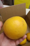 京鲜生 南非进口红心西柚4粒装 单果280g起 生鲜水果  实拍图