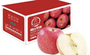 京鲜生 烟台红富士苹果 净重10斤 单果190g以上 生鲜水果 礼盒装 实拍图