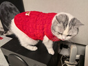 萌嘟星宠宠物狗狗衣服猫咪小猫小狗泰迪比熊新年保暖服饰 螺纹背心L号 实拍图
