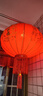 全品屋大红灯笼大门口挂的2026带灯春节新年装饰过年阳台led挂件一对装 【一对】感应灯全家福100 182cm 实拍图