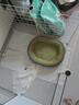 光多拉狗窝猫窝S码宠物冬季小型犬狗窝保暖加厚金毛泰迪四季通用睡垫子 实拍图