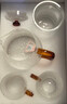 忆壶茶泡茶壶茶水分离玻璃耐高温硼硅小茶具办公室冲花茶飘逸杯带过滤 实拍图