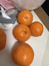 京觅浙江临海涌泉蜜桔 净重4.5-5斤 单果60mm+ 橘子水果礼盒 源头直发 实拍图