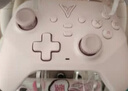 飞智沙漠狐 冰魄蓝 多模版无线游戏手柄 类xbox霍尔扳机switch电脑PC手机steamNS 星露谷物语双影奇境 实拍图
