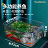 宠街坊鱼缸桌面小型金鱼缸PET鱼缸一体缸透明生态乌龟缸客厅家用送礼 实拍图