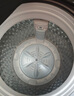 小天鹅（LittleSwan）波轮洗衣机小型全自动家用 8KG TB80V27T 以旧换新 国家补贴 京东自营 一级能效 宿舍租房神器 实拍图