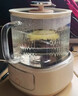 九阳（Joyoung）净萃养生壶迷你家用全玻璃煮茶器 轻音炖煮 1L办公室0金属0胶水恒温烧水壶 WY103 实拍图