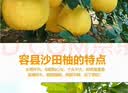趣觅鲜正宗容县蜜柚产地直发广西特产酸甜脆爽沙田老树白肉柚子新鲜水果 白肉净重8斤普通装 实拍图