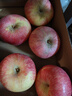 洛川苹果陕西延安特产红富士时令苹果水果礼盒送苹果生鲜新鲜脆甜整箱批发 5斤80-85mm（净重4.5斤）大果 实拍图