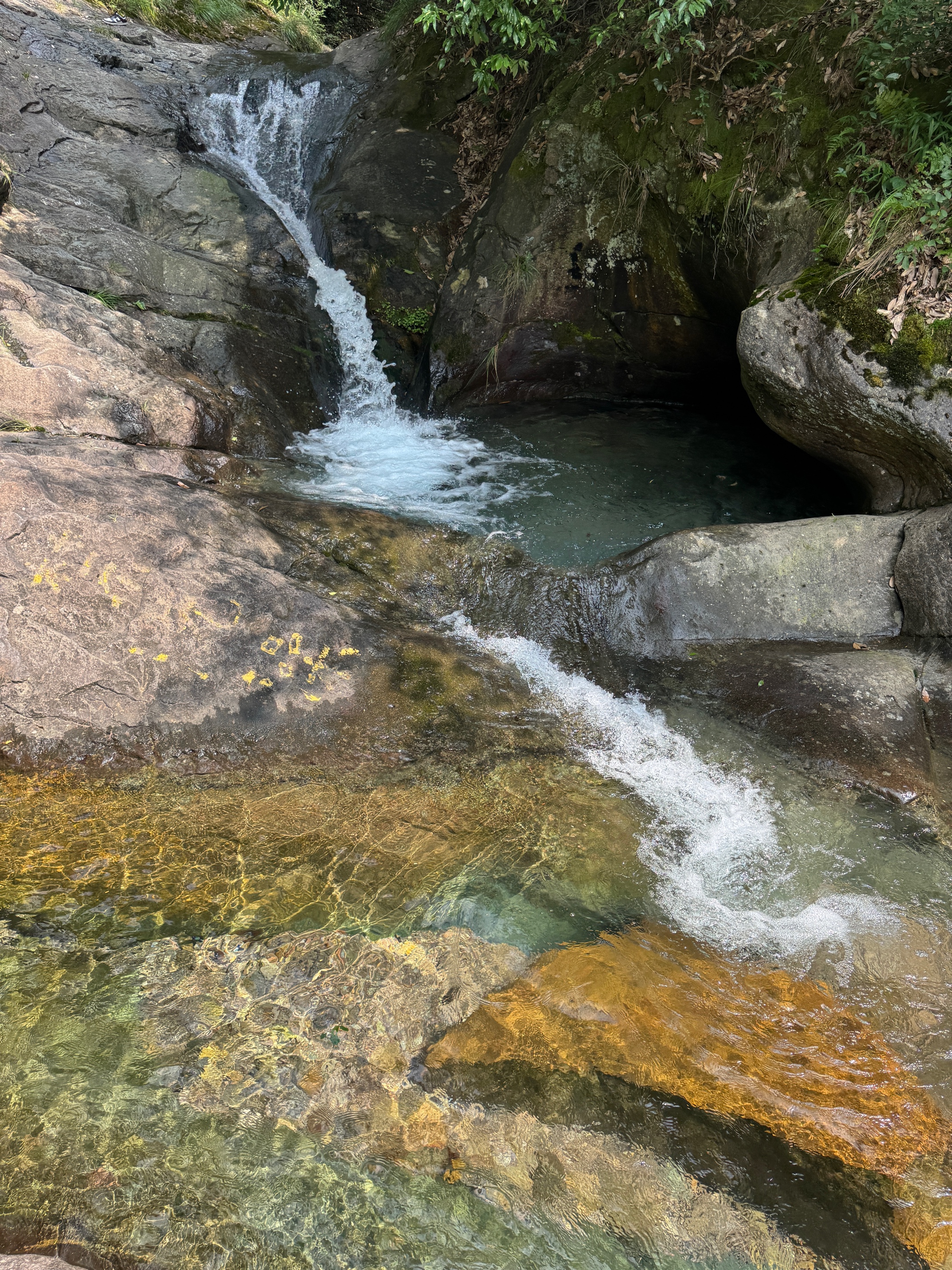 会稽山 绍兴黄酒 典雅十年青瓷双瓶礼盒 花雕酒半干型糯米酒 黄酒礼盒 500mL 2瓶 礼盒装 实拍图