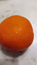 京鲜生 四川爱媛38号果冻橙 净重5斤 单果130g起 生鲜水果柑橘年货礼盒 实拍图