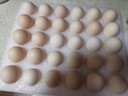 京鲜生富硒鲜鸡蛋30枚 3斤 源头直发 实拍图