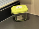 babycare萌趣硅胶盖辅食盒宝宝辅食保鲜防漏可蒸煮冷冻储存 青单只230ml 实拍图