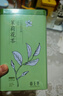 春上早茉莉花茶  新茶特级飘雪浓香型茉莉毛尖四川花茶叶散罐装125g 实拍图