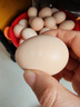 京鲜生 无抗保洁鲜鸡蛋30枚/盒 健康轻食 礼盒送礼 1.5kg/盒 源头直发 实拍图
