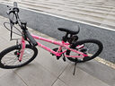 途锐达京东自营超轻铝合金自行车儿童6-12岁女孩单车元旦礼物蜂鸟20寸粉 实拍图