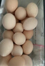 温氏供港L级大码富硒鲜鸡蛋30枚/3.6斤 谷物喂养 无抗生素 生鲜食材 实拍图