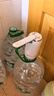 双枪桶装水抽水器 饮水机家用矿泉水电动抽水泵 自动抽水器 实拍图