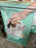 网易严选宠爱全价猫粮 实惠主粮成幼猫爱心三文鱼油美毛护胃 海洋鱼味10kg 实拍图