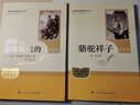 骆驼祥子+钢铁是怎样炼成的  七年级下册必读名著人教版【套装2册】与26春新版初中语文教材配套使用人民教育出版社初一语文教材配套阅读 实拍图