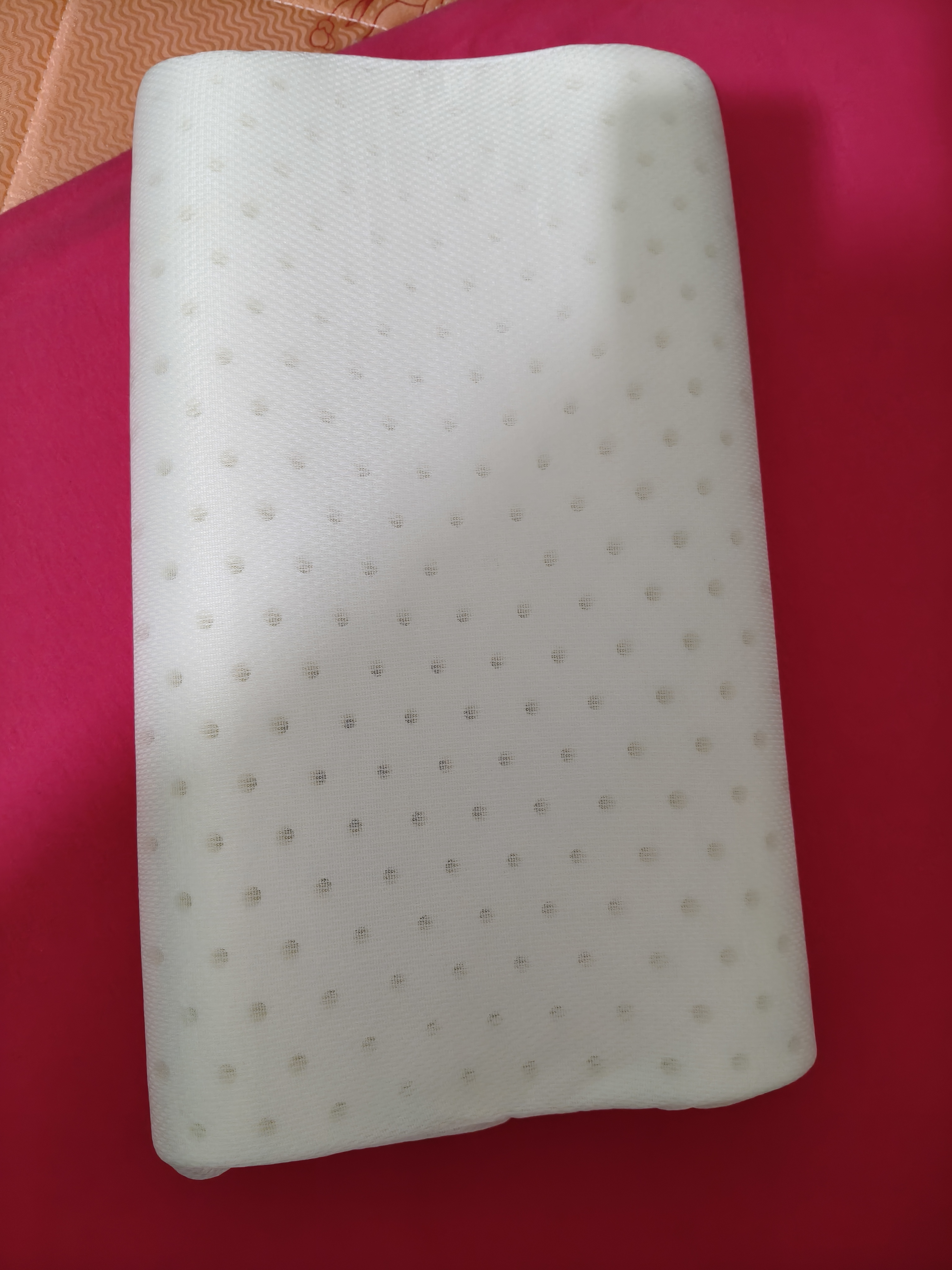 洁丽雅（Grace）儿童记忆棉枕头枕芯宝宝幼儿园午睡枕恐龙44*27cm 实拍图