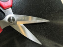 王麻子剪刀家用 不锈钢厨房剪纸手工裁缝剪子 食品级多功能尖头大剪刀 实拍图
