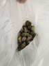 去皮紫洋葱约500g 实拍图
