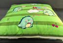 洁丽雅抱枕被子加厚办公室午睡枕毯子二合一沙发汽车靠枕小恐龙40*40cm 实拍图