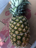 佳农 黑钻菠萝1粒装 巨无霸 菲律宾凤梨 净重3.6斤 生鲜水果 包邮 实拍图