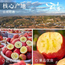 山姆大叔 丑苹果昭通苹果冰糖级【闪送-多地次日达】云南新鲜水果礼盒装 【金标·甄选果】单果70-80mm｜甜爆了 9斤装【蕞划算-全家分享】净8 实拍图