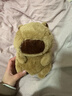 卡皮巴拉毛绒玩具公仔儿童生日礼物女孩情人节礼物水豚毛绒玩偶 卡皮巴拉公仔 1个装（新人专享） 实拍图