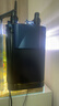 AMTRA TECHNIK德国安彩壁挂过滤器ex650鱼缸过滤器乌龟低水位净水静音 EX650 新版除油膜器【内含滤材】 实拍图