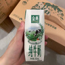 伊利【新鲜日期】金典纯牛奶整箱 250ml*16盒 3.6g乳蛋白 年货礼盒装 实拍图