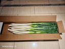 京鲜生正宗山东章丘大葱4.5斤 精品大葱礼盒装 新鲜蔬菜特产源头直发 实拍图