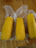 东北农嫂糯玉米段多色可选软糯香吉林原产粘玉米真空低脂饱腹粗粮代餐 【爆款推荐】黄糯玉米棒1.32kg 约5根 实拍图