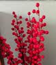 花点馨意冬青发财果仿真花装饰摆件红果新年宵花卉假花餐桌插花6叉2支5189 实拍图