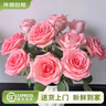 芊芊细语斗南基地直批发玫瑰鲜花全国速递配送女友礼物家用水养插花家庭 戴安娜玫瑰18支+2支防损 实拍图