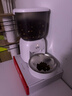 PAPIFEED自动喂食器猫咪小型智能投喂器定时定量喂猫器猫粮狗粮远程喂食机 实拍图