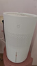 米家小米空气加湿器 无雾加湿器3 400mL/h快速加湿保湿礼品家用卧室大容量办公室婴儿孕妇 4L大容量 实拍图