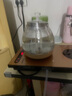 友家铺子（Biooner）全自动上水电热水壶烧水壶家用办公茶台一体机茶桌茶几嵌入式茶具套装 RY-A1金色保温1L 实拍图