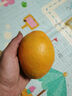 京觅江西赣南脐橙9斤净重橙子钻石果220g起年货手提礼盒水果源头直发 实拍图