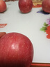 甜醉了 烟台苹果栖霞红富士新鲜水果生鲜山东特产脆甜整箱平果礼盒礼品 精品礼盒（12枚-85#大果） 实拍图