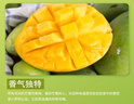 庾丰 海南芒果 新鲜水果生鲜整箱当季大青皮金煌芒 热带孕妇玉芒果 10斤装(净果9斤)单果200g+ 实拍图