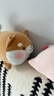 名创优品（MINISO）趣味阿柴趴姿毛绒公仔玩偶抱枕玩具靠枕娃娃情人节礼物新年礼物 实拍图