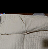 艾薇 A类枕头套纯棉家用全棉单人枕套一对枕芯套 罗马时代 48*74cm 实拍图