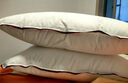 水星家纺枕头枕芯酒店枕头护颈枕头芯家用一对纯棉抗菌可水洗高枕48x74cm 实拍图
