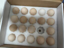 1号会员店One's Member叶黄素可生食标准鲜鸡蛋 20枚 单枚55g 源头直发 实拍图