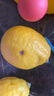广东香水黄柠檬包邮新鲜水果柠檬精选皮薄奶茶店专用整箱 现货 柠檬净重9斤单果50g+ 实拍图